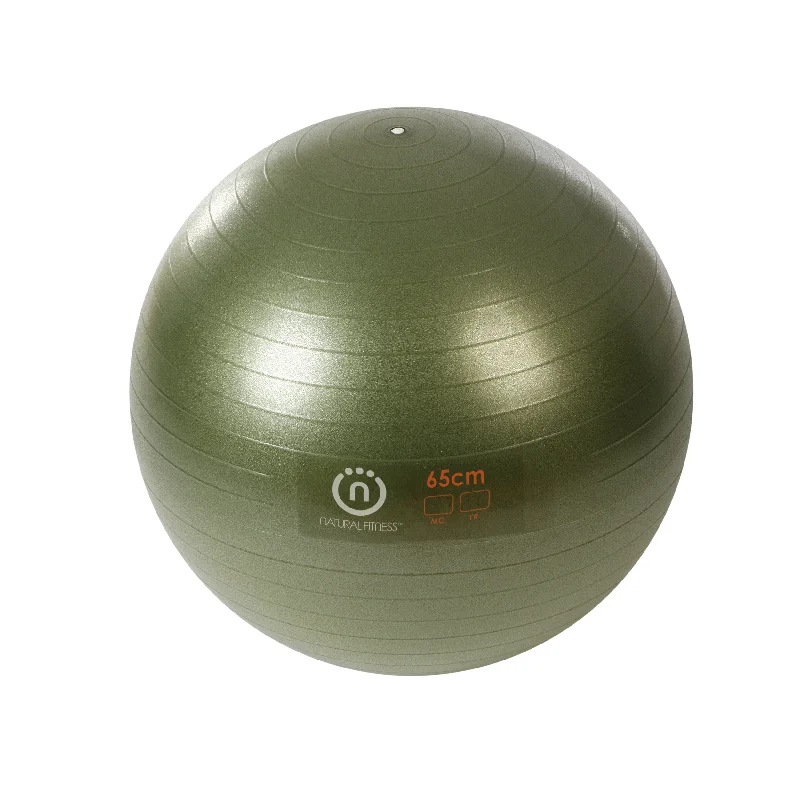 PRO Burst Resistant Exercise Ball